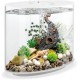 biOrb Loop 30 LED White, 30 Litres, Aquarium Complete Set with Patented Filter System, Light Unit, Acrylic Basin in Elliptical Shape biOrb Loop 30 LED White, 30 Litres, Aquarium Complete Set with Patented Filter System, Light Unit, Acrylic Basin in Elliptical Shape