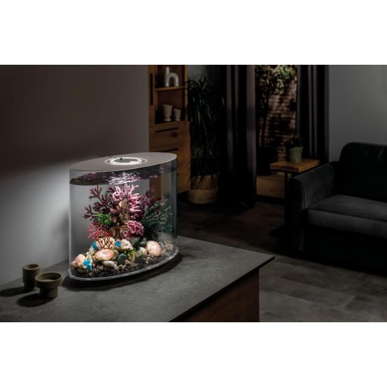 biOrb Loop 30 LED White, 30 Litres, Aquarium Complete Set with Patented Filter System, Light Unit, Acrylic Basin in Elliptical Shape biOrb Loop 30 LED White, 30 Litres, Aquarium Complete Set with Patented Filter System, Light Unit, Acrylic Basin in Elliptical Shape