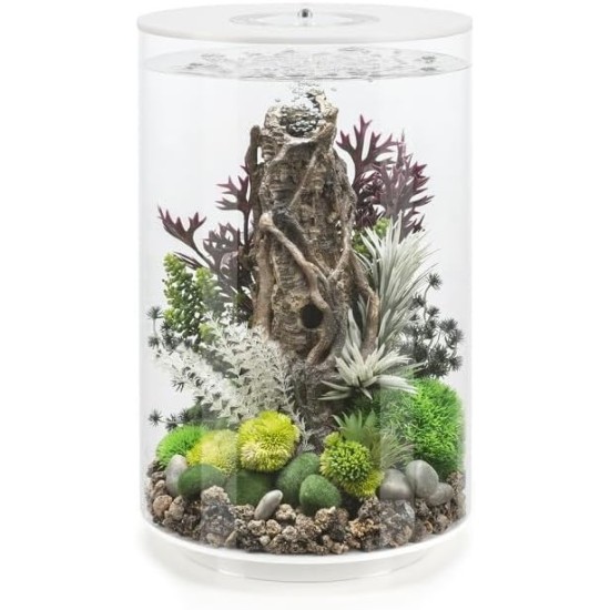 biOrb Tube 30 MCR White - Design Aquarium, Complete Set with Filter System, 360 Degree View biOrb Tube 30 MCR White - Design Aquarium, Complete Set with Filter System, 360 Degree View