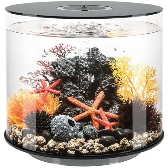 biOrb Tube 35 MCR Black Elegant Design Aquarium, Complete Set with Filter System, 360 Degree View biOrb Tube 35 MCR Black Elegant Design Aquarium, Complete Set with Filter System, 360 Degree View