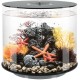 biOrb Tube 35 MCR Black Elegant Design Aquarium, Complete Set with Filter System, 360 Degree View biOrb Tube 35 MCR Black Elegant Design Aquarium, Complete Set with Filter System, 360 Degree View