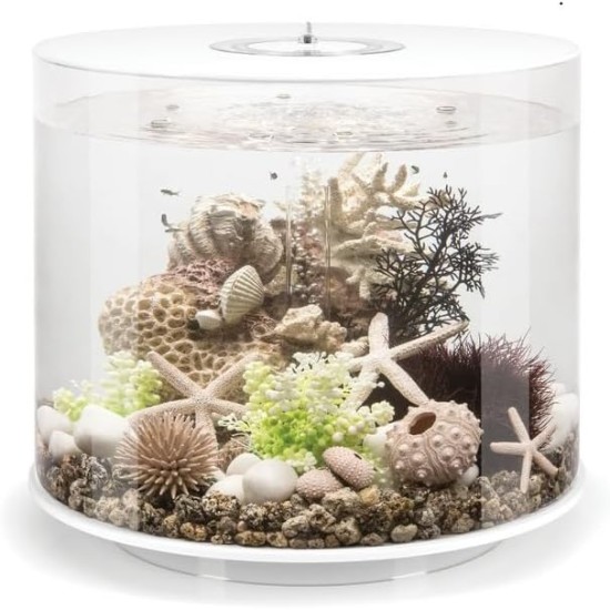 biOrb Tube 35 MCR White - Elegant Design Aquarium, Complete Set with Filter System, 360 Degree View biOrb Tube 35 MCR White - Elegant Design Aquarium, Complete Set with Filter System, 360 Degree View