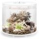 biOrb Tube 35 MCR White - Elegant Design Aquarium, Complete Set with Filter System, 360 Degree View biOrb Tube 35 MCR White - Elegant Design Aquarium, Complete Set with Filter System, 360 Degree View