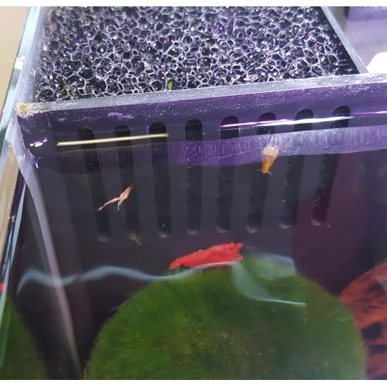 sera Biotop Nano LED Cube Aquarium, 16 L Complete Set, Plug & Play, Curved Glass with LED Lighting and Large 3 Chamber Inner Filter for Shrimps, Crabs and Betta Fish, Dimensions (W x H x D) 22 x 30 x 25 cm sera Biotop Nano LED Cube Aquarium, 16 L Complete Set, Plug & Play, Curved Glass with LED Lighting and Large 3 Chamber Inner Filter for Shrimps, Crabs and Betta Fish, Dimensions (W x H x D) 22 x 30 x 25 cm