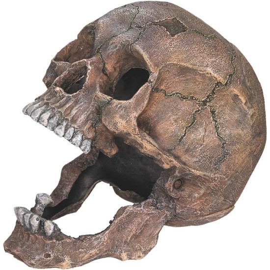 Aqua Ornaments 'Skull' Aquarium Decoration 13.5 x 20 x 16.5 cm Aqua Ornaments 'Skull' Aquarium Decoration 13.5 x 20 x 16.5 cm
