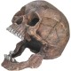 Aqua Ornaments 'Skull' Aquarium Decoration 13.5 x 20 x 16.5 cm Aqua Ornaments 'Skull' Aquarium Decoration 13.5 x 20 x 16.5 cm