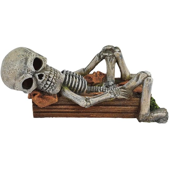 Nobby 28718 Aqua Ornaments Lying Skeleton 17 x 7.8 x 7.3 cm Nobby 28718 Aqua Ornaments Lying Skeleton 17 x 7.8 x 7.3 cm