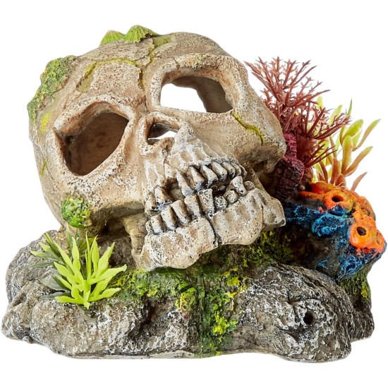Nobby Aqua Ornaments 13.5 x 13.5 x 10.5 cm Skull with Plants Nobby Aqua Ornaments 13.5 x 13.5 x 10.5 cm Skull with Plants