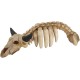 Nobby Aqua Ornaments Animal Skeleton 34 x 13 x 9.5 cm Nobby Aqua Ornaments Animal Skeleton 34 x 13 x 9.5 cm