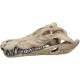 Nobby Aqua Ornaments Crocodile Skull, 26 x 14 x 9 cm, 1 Piece Nobby Aqua Ornaments Crocodile Skull, 26 x 14 x 9 cm, 1 Piece