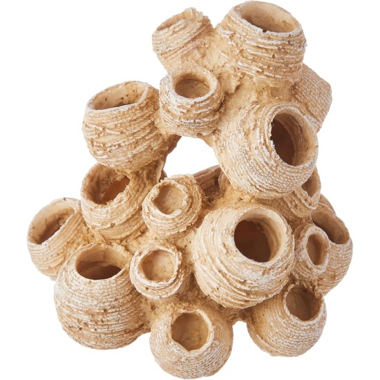 Nobby Bamacles Aquarium Ornaments, 12 x 10 x 12 cm Nobby Bamacles Aquarium Ornaments, 12 x 10 x 12 cm