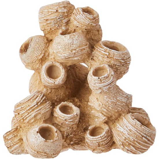 Nobby Bamacles Aquarium Ornaments, 12 x 10 x 12 cm Nobby Bamacles Aquarium Ornaments, 12 x 10 x 12 cm