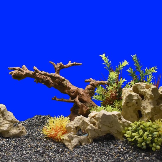 Nobby Roots Aquarium Ornaments, L38.5 x 24 x 25.5 cm Nobby Roots Aquarium Ornaments, L38.5 x 24 x 25.5 cm