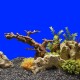 Nobby Roots Aquarium Ornaments, L38.5 x 24 x 25.5 cm Nobby Roots Aquarium Ornaments, L38.5 x 24 x 25.5 cm