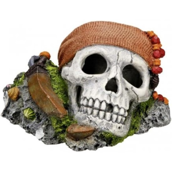 Nobby Skull with Plants Aquarium Ornaments, 19.5 x 16 x 14 cm Nobby Skull with Plants Aquarium Ornaments, 19.5 x 16 x 14 cm