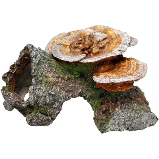 Nobby Wood Cave with Mushrooms Aquarium Ornaments, 18 x 19 x 10 cm Nobby Wood Cave with Mushrooms Aquarium Ornaments, 18 x 19 x 10 cm