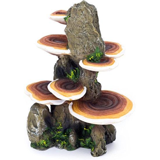 Pen Plax RR1007 Mushrooms on Rock Aquarium Ornament, Medium/5.5" x 4" x 7.5" Pen Plax RR1007 Mushrooms on Rock Aquarium Ornament, Medium/5.5" x 4" x 7.5"