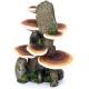 Pen Plax RR1007 Mushrooms on Rock Aquarium Ornament, Medium/5.5" x 4" x 7.5" Pen Plax RR1007 Mushrooms on Rock Aquarium Ornament, Medium/5.5" x 4" x 7.5"