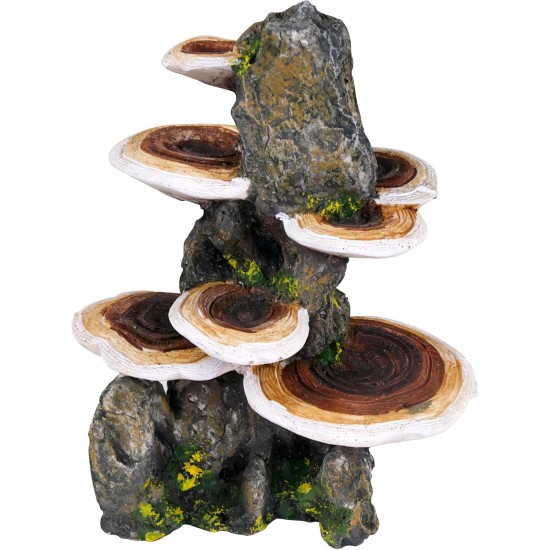 Pen Plax RR1007 Mushrooms on Rock Aquarium Ornament, Medium/5.5" x 4" x 7.5" Pen Plax RR1007 Mushrooms on Rock Aquarium Ornament, Medium/5.5" x 4" x 7.5"