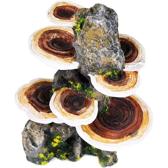 Pen Plax RR1007 Mushrooms on Rock Aquarium Ornament, Medium/5.5" x 4" x 7.5" Pen Plax RR1007 Mushrooms on Rock Aquarium Ornament, Medium/5.5" x 4" x 7.5"