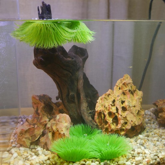 Penn-Plax Baby Hide-Out Breeding Grass for Aquarium Penn-Plax Baby Hide-Out Breeding Grass for Aquarium