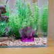 Penn-Plax Deco-Replicas Crystal Cluster Aquarium Decoration - Safe for Freshwater and Saltwater Aquariums - Amethyst Pink Penn-Plax Deco-Replicas Crystal Cluster Aquarium Decoration - Safe for Freshwater and Saltwater Aquariums - Amethyst Pink