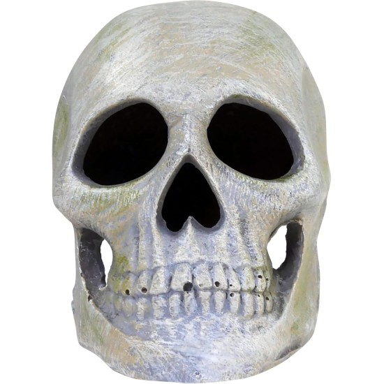 Penn Plax Deco Replicas Human Skull Aquarium Ornament Penn Plax Deco Replicas Human Skull Aquarium Ornament