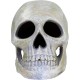 Penn Plax Deco Replicas Human Skull Aquarium Ornament Penn Plax Deco Replicas Human Skull Aquarium Ornament