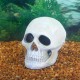 Penn Plax Deco Replicas Human Skull Aquarium Ornament Penn Plax Deco Replicas Human Skull Aquarium Ornament