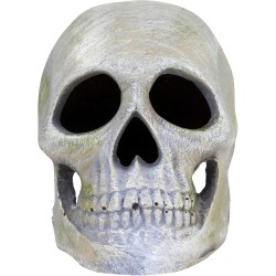 Penn Plax Deco Replicas Human Skull Aquarium Ornament Penn Plax Deco Replicas Human Skull Aquarium Ornament