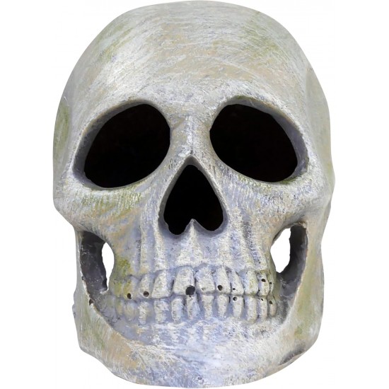 Penn Plax Deco Replicas Human Skull Aquarium Ornament Penn Plax Deco Replicas Human Skull Aquarium Ornament