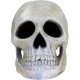 Penn Plax Deco Replicas Human Skull Aquarium Ornament Penn Plax Deco Replicas Human Skull Aquarium Ornament