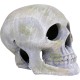 Penn Plax Deco Replicas Human Skull Aquarium Ornament Penn Plax Deco Replicas Human Skull Aquarium Ornament