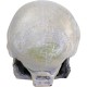 Penn Plax Deco Replicas Human Skull Aquarium Ornament Penn Plax Deco Replicas Human Skull Aquarium Ornament