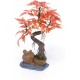 Pennplax Red Bonsai Tree Aquarium Decor, 8-Inch Pennplax Red Bonsai Tree Aquarium Decor, 8-Inch