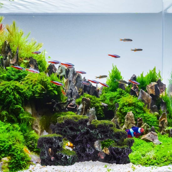 Relaxdays Aquarium Decoration Stone, Natural Look, Decorative, Hiding Place, Rock Cave, Aquarium Accessories, H x W 8.5 x 17 cm, Black/Green Relaxdays Aquarium Decoration Stone, Natural Look, Decorative, Hiding Place, Rock Cave, Aquarium Accessories, H x W 8.5 x 17 cm, Black/Green