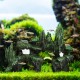 Relaxdays Decorative Hiding Place for Fish & Shrimp (HxWxD): 16.5 x 22 x 8 cm, Aquarium Rocks, Anthracite/Green Relaxdays Decorative Hiding Place for Fish & Shrimp (HxWxD): 16.5 x 22 x 8 cm, Aquarium Rocks, Anthracite/Green