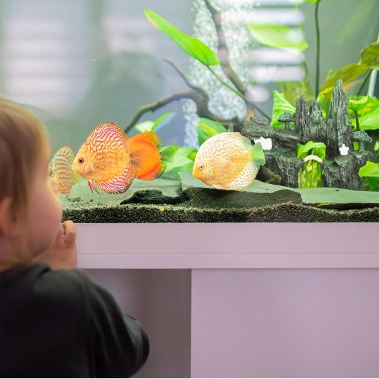 Relaxdays Decorative Hiding Place for Fish & Shrimp (HxWxD): 16.5 x 22 x 8 cm, Aquarium Rocks, Anthracite/Green Relaxdays Decorative Hiding Place for Fish & Shrimp (HxWxD): 16.5 x 22 x 8 cm, Aquarium Rocks, Anthracite/Green