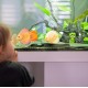 Relaxdays Decorative Hiding Place for Fish & Shrimp (HxWxD): 16.5 x 22 x 8 cm, Aquarium Rocks, Anthracite/Green Relaxdays Decorative Hiding Place for Fish & Shrimp (HxWxD): 16.5 x 22 x 8 cm, Aquarium Rocks, Anthracite/Green