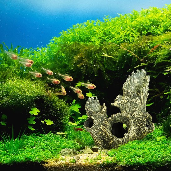 Relaxdays Decorative Tree Trunk Hiding Place for Fish & Shrimp 16.5 x 15 x 12 cm Aquarium Cave Grey/Green Relaxdays Decorative Tree Trunk Hiding Place for Fish & Shrimp 16.5 x 15 x 12 cm Aquarium Cave Grey/Green