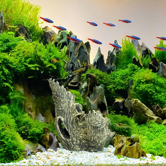 Relaxdays Decorative Tree Trunk Hiding Place for Fish & Shrimp 16.5 x 15 x 12 cm Aquarium Cave Grey/Green Relaxdays Decorative Tree Trunk Hiding Place for Fish & Shrimp 16.5 x 15 x 12 cm Aquarium Cave Grey/Green