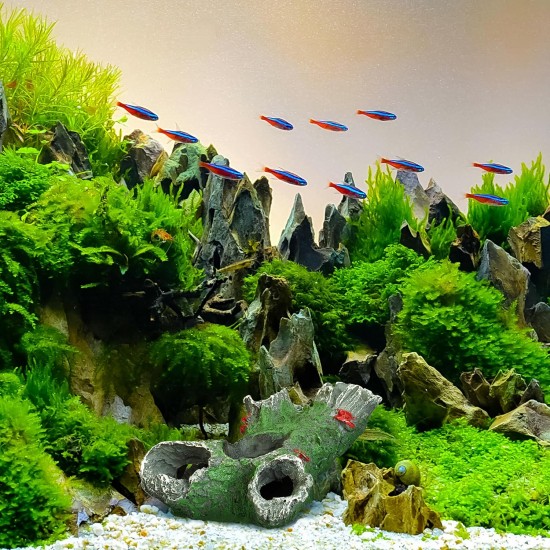 Relaxdays Decorative Tree Trunk Hiding Place for Fish & Shrimp H x W x D: 6.5 x 15 x 10 cm Aquarium Cave Grey/Green Relaxdays Decorative Tree Trunk Hiding Place for Fish & Shrimp H x W x D: 6.5 x 15 x 10 cm Aquarium Cave Grey/Green