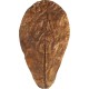 ARKA mySCAPE-DADAP Leaves - 7-13 cm / 10 Pieces - Natural Holiday Food for Shrimp, Snails & Suction Catfish, Promotes Health in Freshwater Aquariums ARKA mySCAPE-DADAP Leaves - 7-13 cm / 10 Pieces - Natural Holiday Food for Shrimp, Snails & Suction Catfish, Promotes Health in Freshwater Aquariums
