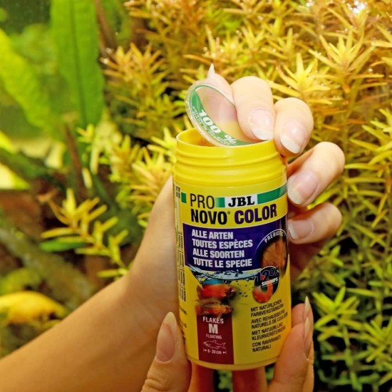 JBL PRONOVO COLOR FLAKES Paint Food Flakes for All Aquarium Fish from 8-20 cm, Fish Food Flakes, Size M, 100 ml JBL PRONOVO COLOR FLAKES Paint Food Flakes for All Aquarium Fish from 8-20 cm, Fish Food Flakes, Size M, 100 ml