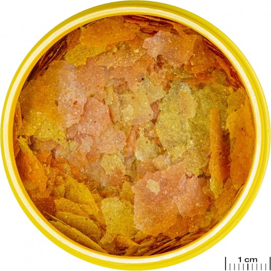 JBL PRONOVO COLOR FLAKES Paint Food Flakes for All Aquarium Fish from 8-20 cm, Fish Food Flakes, Size M, 100 ml JBL PRONOVO COLOR FLAKES Paint Food Flakes for All Aquarium Fish from 8-20 cm, Fish Food Flakes, Size M, 100 ml