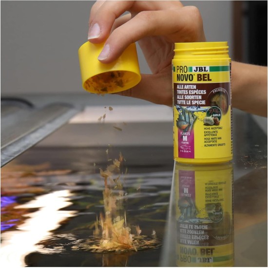 JBL Pronovo Bel Flakes Main Food for All Aquarium Fish from 3-10 cm, Fish Food Flakes, Size S, 100 ml JBL Pronovo Bel Flakes Main Food for All Aquarium Fish from 3-10 cm, Fish Food Flakes, Size S, 100 ml