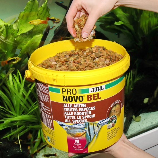 JBL Pronovo Bel Flakes Main Food for All Aquarium Fish from 3-10 cm, Fish Food Flakes, Size S, 100 ml JBL Pronovo Bel Flakes Main Food for All Aquarium Fish from 3-10 cm, Fish Food Flakes, Size S, 100 ml