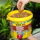 JBL Pronovo Bel Flakes Main Food for All Aquarium Fish from 3-10 cm, Fish Food Flakes, Size S, 100 ml JBL Pronovo Bel Flakes Main Food for All Aquarium Fish from 3-10 cm, Fish Food Flakes, Size S, 100 ml