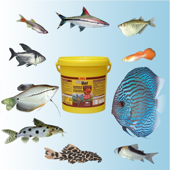 JBL Pronovo Bel Flakes Main Food for All Aquarium Fish from 3-10 cm, Fish Food Flakes, Size S, 100 ml JBL Pronovo Bel Flakes Main Food for All Aquarium Fish from 3-10 cm, Fish Food Flakes, Size S, 100 ml