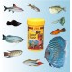 JBL Pronovo Bel Flakes Main Food for All Aquarium Fish from 3-10 cm, Fish Food Flakes, Size S, 100 ml JBL Pronovo Bel Flakes Main Food for All Aquarium Fish from 3-10 cm, Fish Food Flakes, Size S, 100 ml